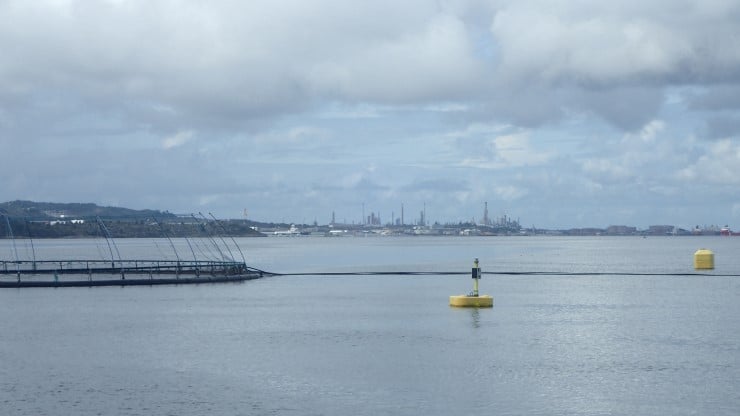 Første Rapport Frå Det Treårige Overvakingsprogrammet I Fensfjorden Er ...