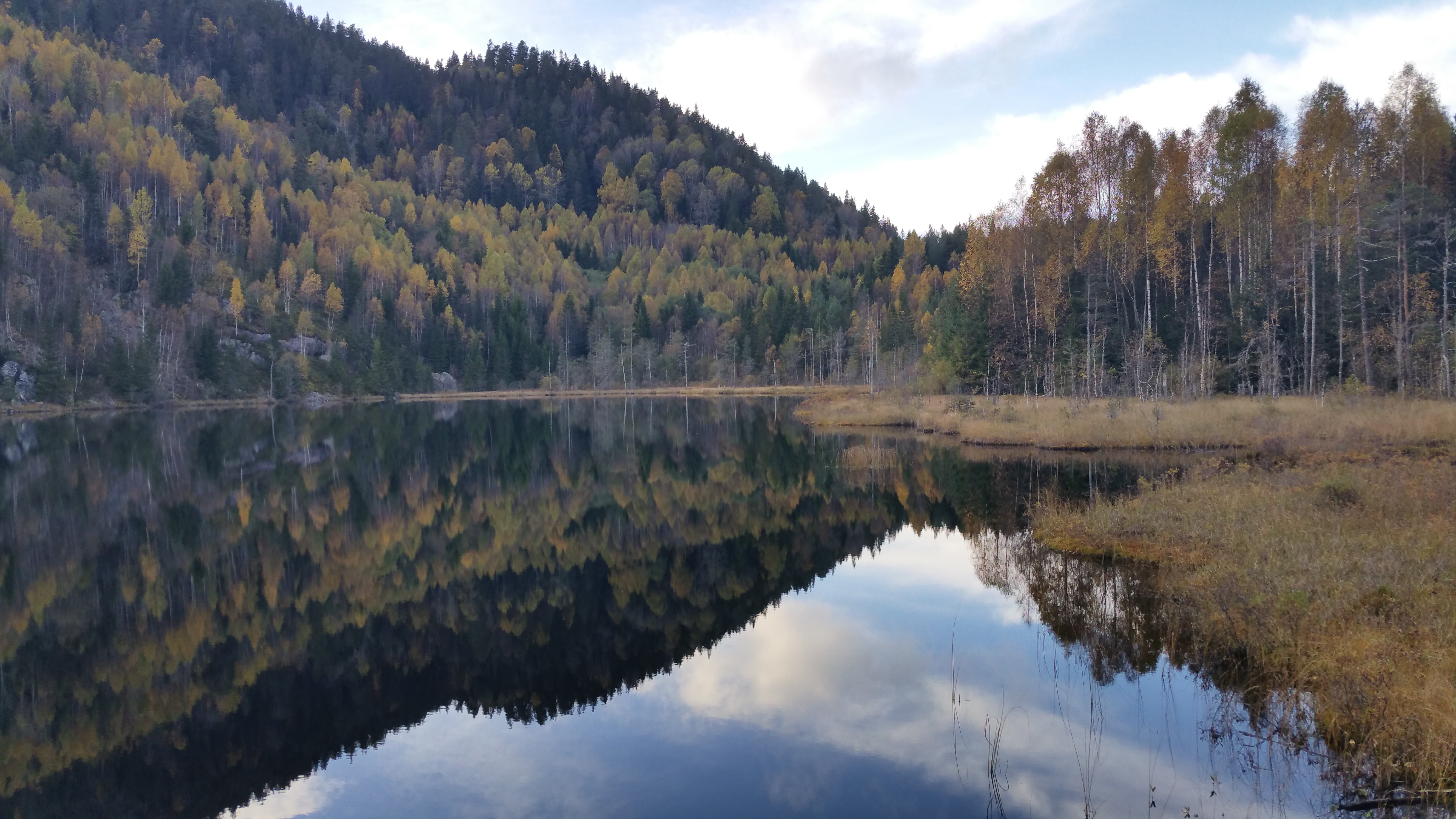 Høstbilde med trær og vann