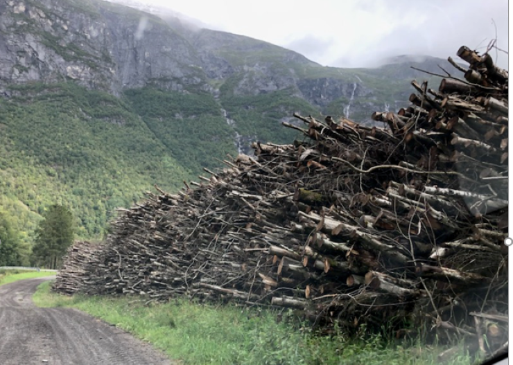 Bioenergi I Møre Og Romsdal | Statsforvaltaren I Møre Og Romsdal