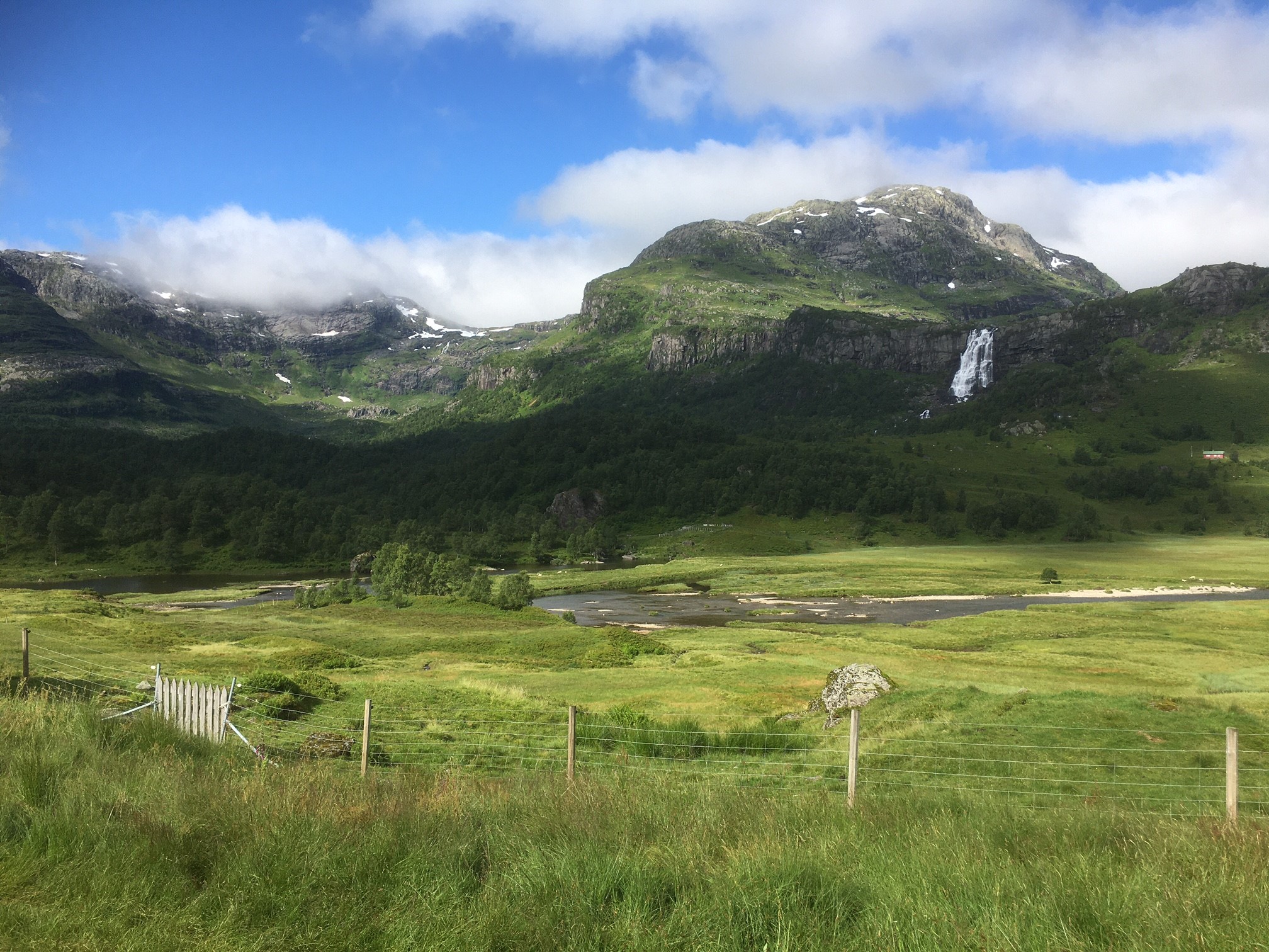 Sommarnytt frå Sauda | Statsforvaltaren i Rogaland