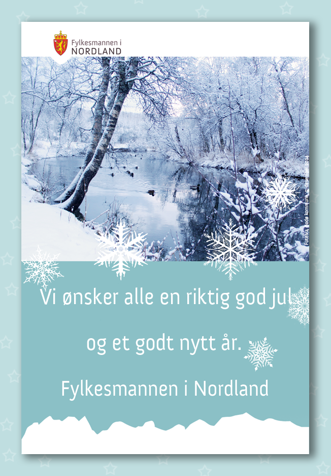 Fylkesmannen i Nordland ønsker alle god jul og godt nytt år.