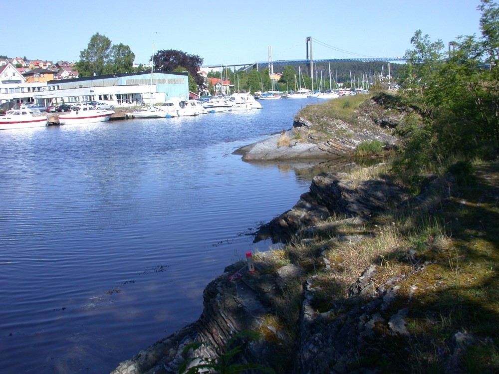 Gjermundsholmen naturreservat | Statsforvalteren i ...